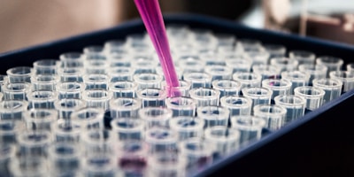 Microscopy Equipment